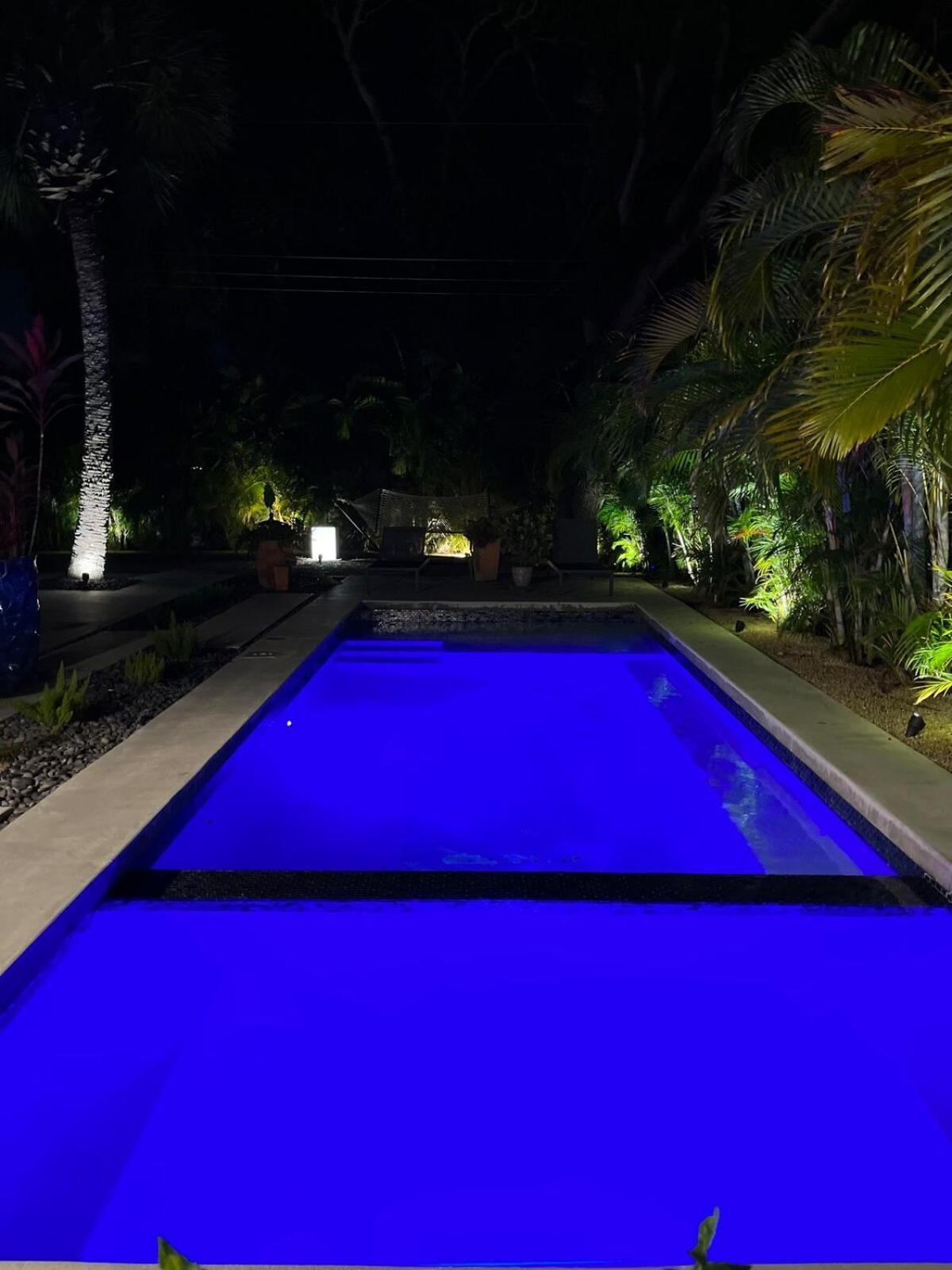 Hiddengem In Charming Sarasota, Florida Exterior foto